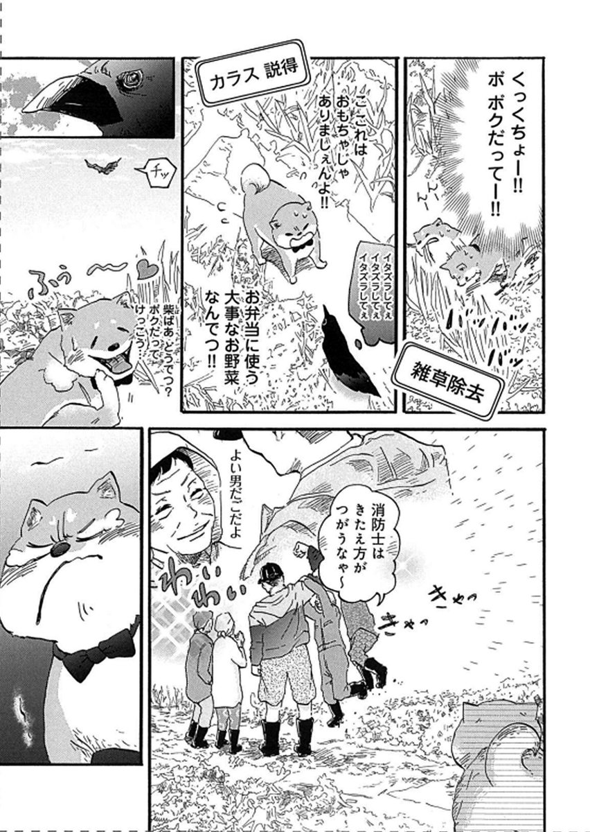 本日は『柴ばあと豆柴太』の更新日です!
?ねとらぼ?【毎週日曜更新】
3歩目「豆柴太、家出をする」
震災を経験したワンコ"豆柴太"が、試練の回です!
ぜひ応援してやってください〜??
よろしくお願いします?♀️✨
https://t.co/z6dYsfySII
#柴犬 #犬
