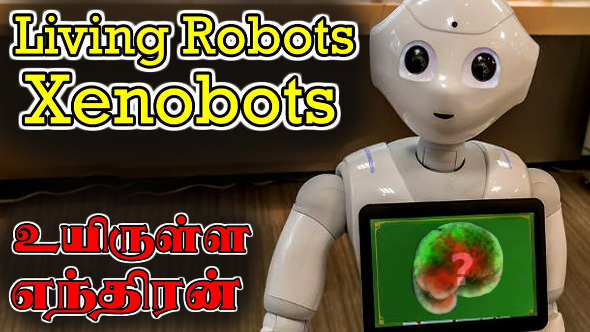 TamilLiveRaj95's tweet image. #livingrobots #xenobots #Tamil #Tamilliveraj

youtu.be/vIX55y9CjI8
