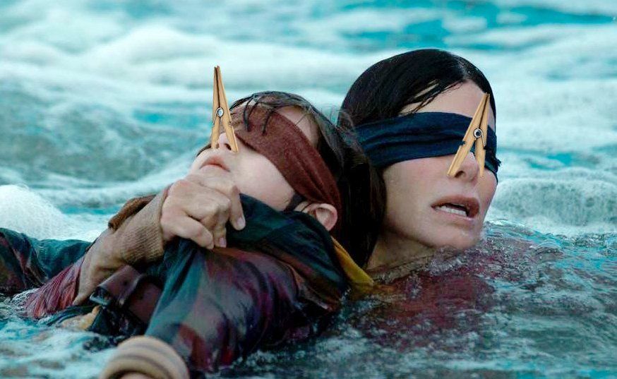 studioexec1's tweet photo. Bird Box 2 poster and synopsis published #BirdBox #birdbox2 @netflix #sandrabullock
https://t.co/r4LgaLPSxS https://t.co/ujiUZk4VzI