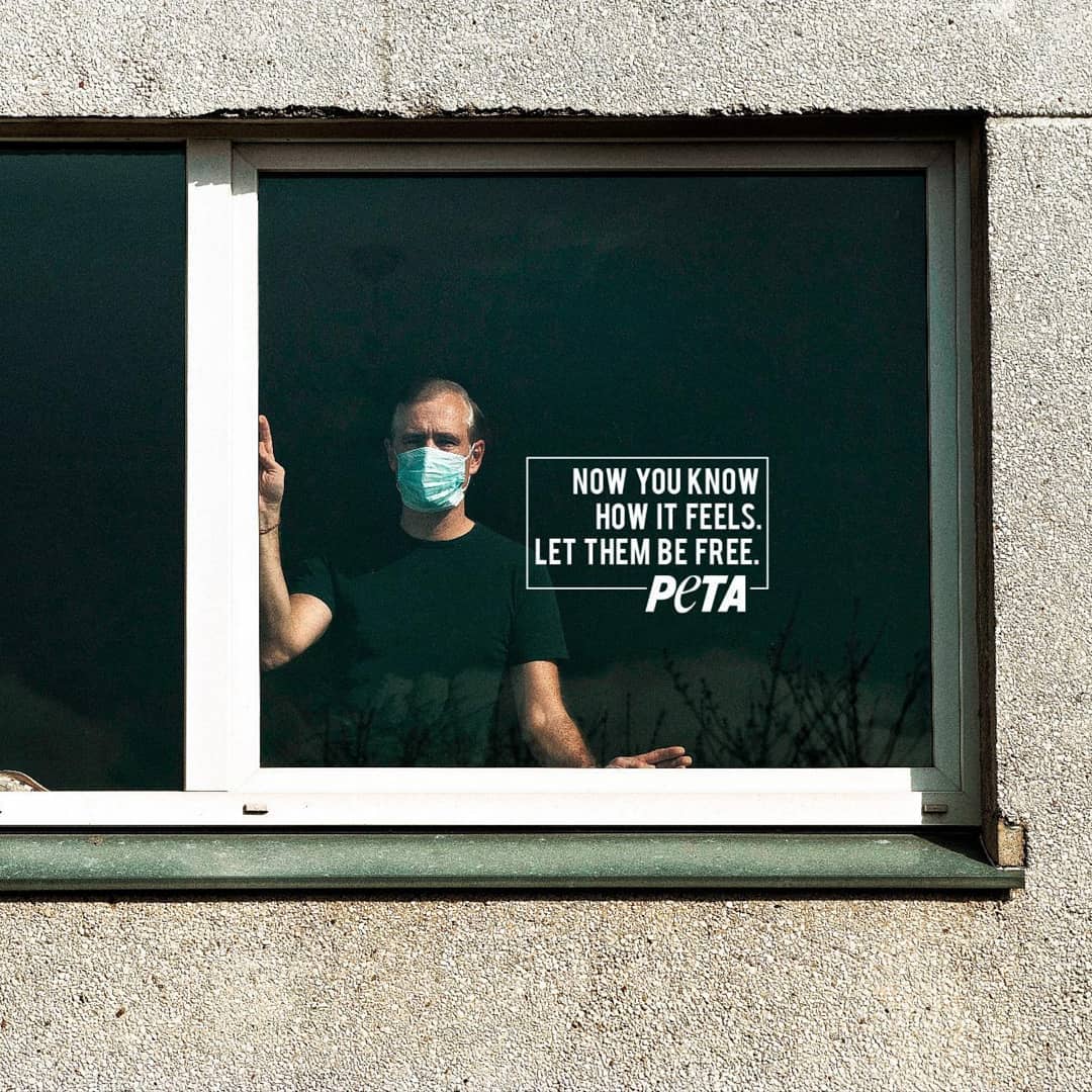adaddictive's tweet photo. PeTA!

Go to https://t.co/Pt7G3aefPj for more 

Follow us on @adaddictive
#adaddictive
#advertisingillustration
#advertisingjogja
#advertisinglife
#advertisingmedan
#advertisingphoto
#advertisingposter
#advertisingposters
#animalfree
#animalrights
#animalsmatter
#caged
#captivity https://t.co/hWHruEchmu
