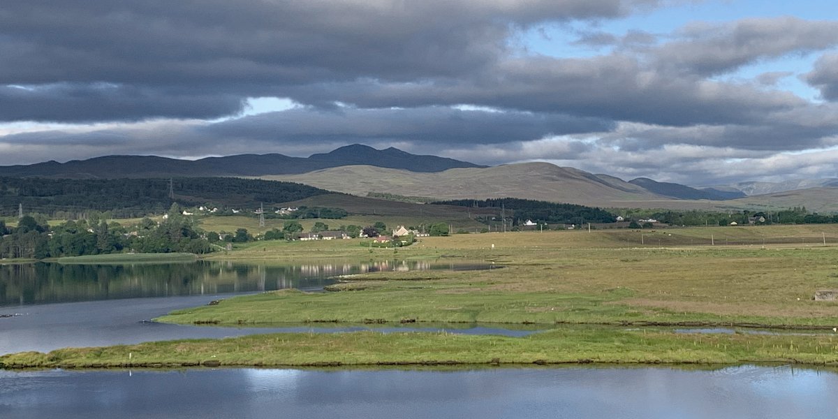Highland Focus tweet media