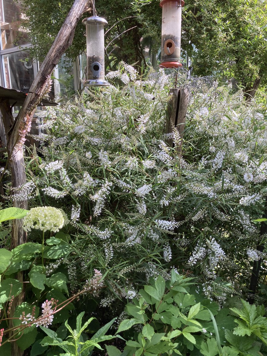 Bud Garden Centre tweet media