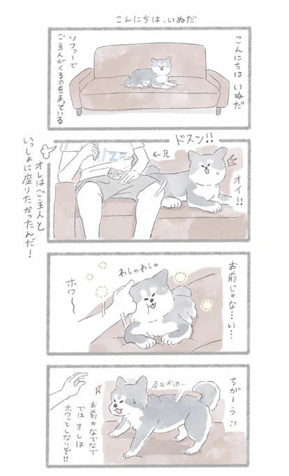 こんにちは、いぬだ
#こんにちはいぬ 