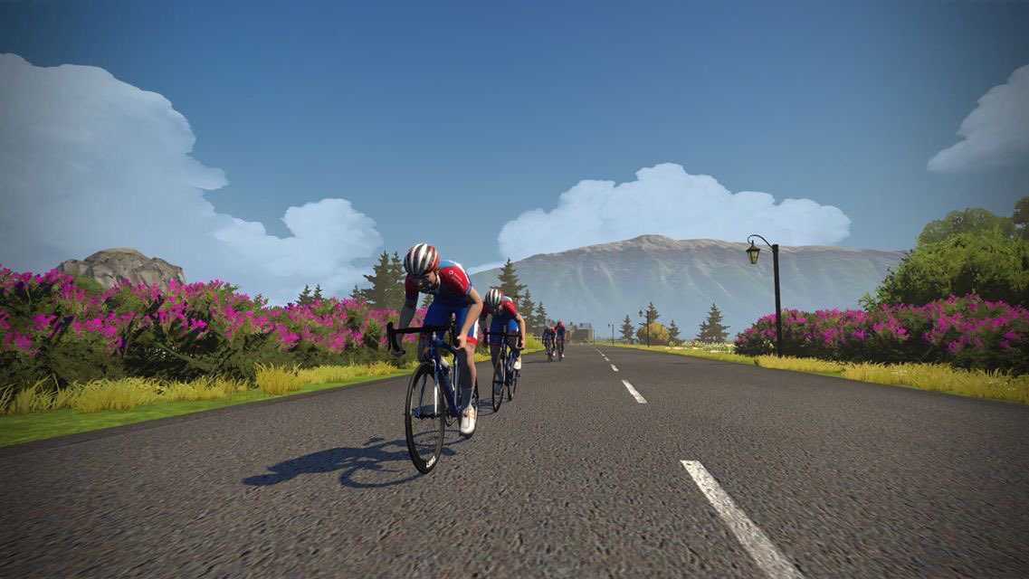 Team TotalEnergies tweet media