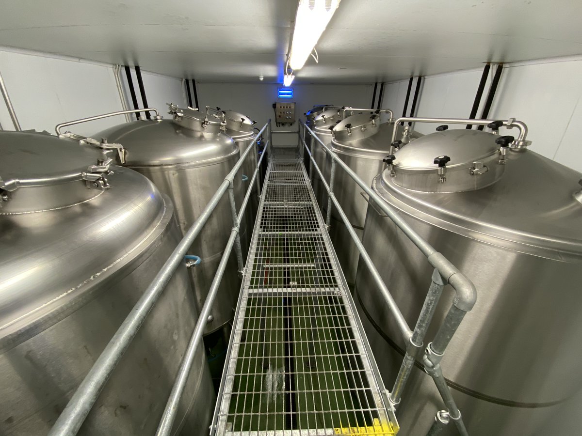 GowerBrewery's tweet photo. All fermenting vessels full ready for another busy week. Good luck to all of the pubs &amp; bars opening tomorrow 🍻

#pubsreopening #caskale #realale #supportlocal #beer #socialdistancing #drinkresponsibly https://t.co/2L87cvRcIc