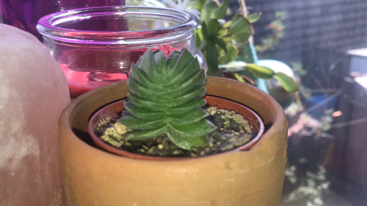 Claire ☮ tweet media