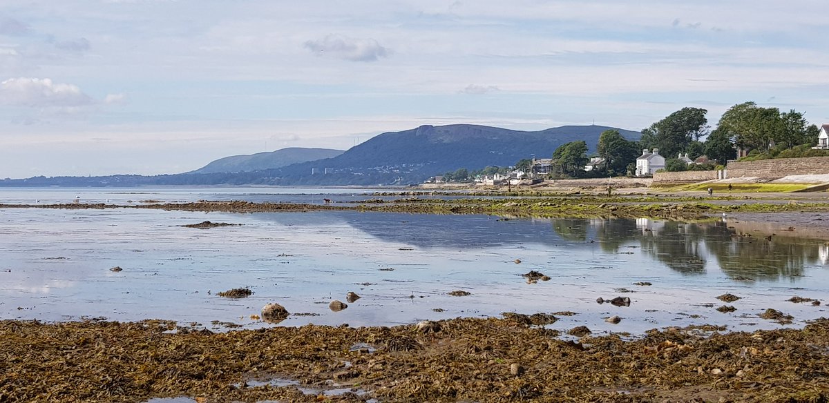 shanemuk's tweet photo. Good morning from the beaitiful beach at #Greenisland! Wish you were here? You could be, if we can RT and get @niwnews to open #NIWatergate and #ShareTheShore :-) #winwin https://t.co/d5Ost2isLt