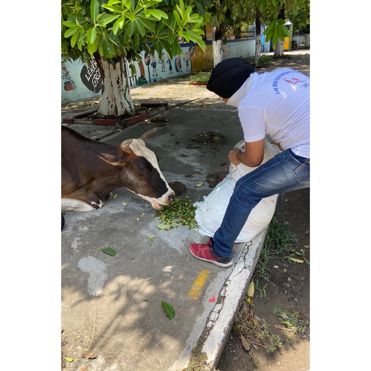 BhalaiLok's tweet photo. Dated-12july2020
As an integral part of our ecosystem, it is our duty to take care of animals who are dependent on humans and hence @Lok Bhalai Club Ropar will continue the drive to feed animals and birds in and around Ropar
#ngo #helpothers  #feedanimals #humanityfirst  #joinus https://t.co/6gRkeGqzNq
