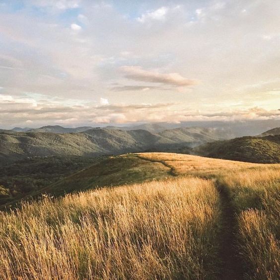 The cure for Demeter's depression is in her acceptance of life's seasons - she then embraces her empty nest, and finds a new meaning, a new spring. She may be an inspired teacher, a leader of her community, or may physically, emotionally and spiritually, nourish other people.