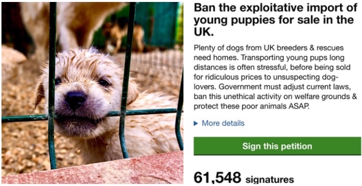 Dr Marc Abraham OBE tweet media