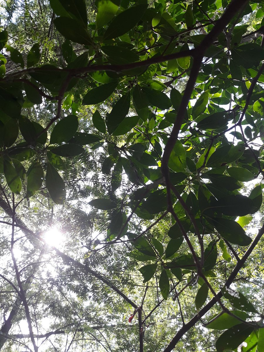 AimeeMichaud1's tweet photo. Rather than wasting our time taking things for granted, we should appreciate everything we have from the heart and admire the world that God created for us to dwell in. https://t.co/zWnX4y9Fgi
