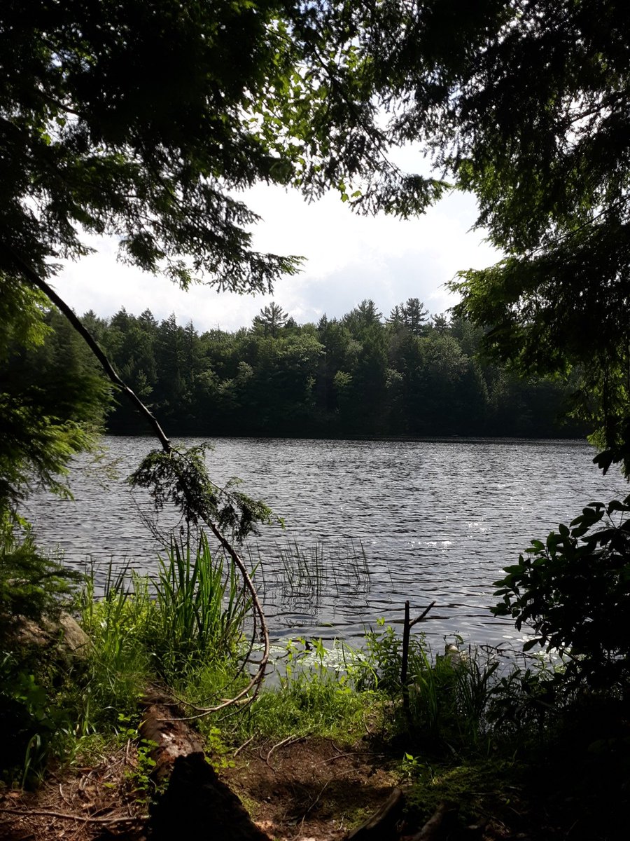 AimeeMichaud1's tweet photo. Rather than wasting our time taking things for granted, we should appreciate everything we have from the heart and admire the world that God created for us to dwell in. https://t.co/zWnX4y9Fgi