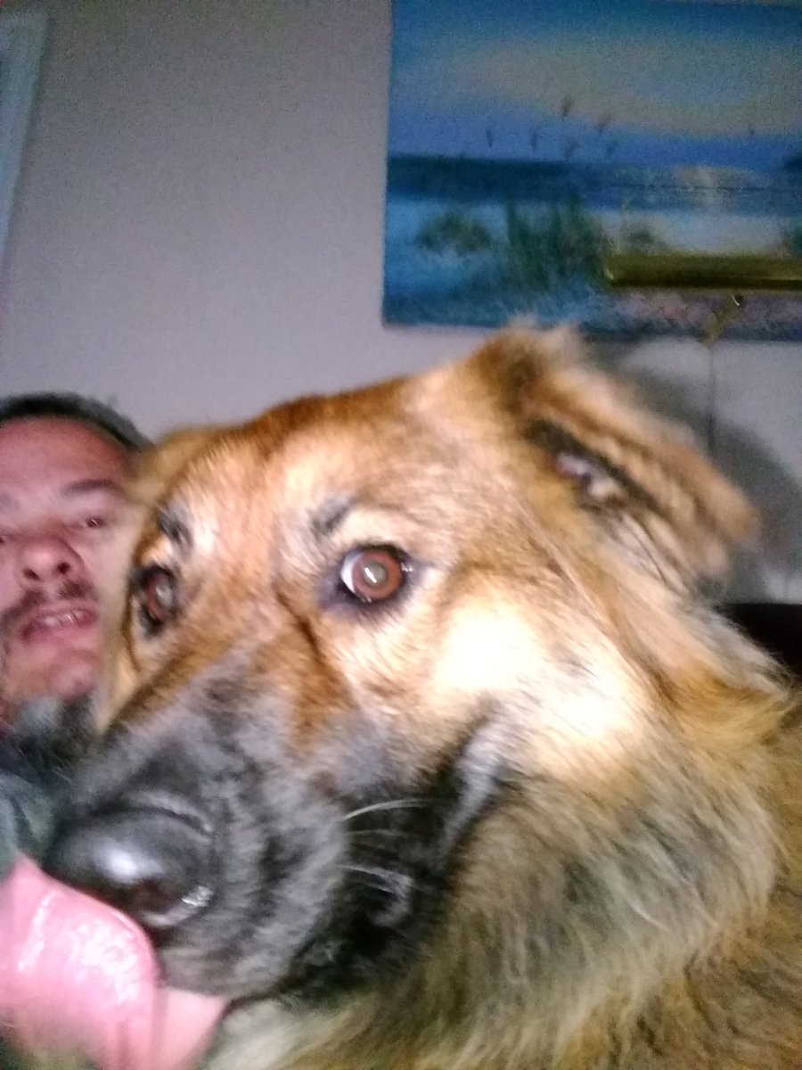 deathoffrog's tweet photo. Gunnar and me watching movies https://t.co/3BMhTCewJd
