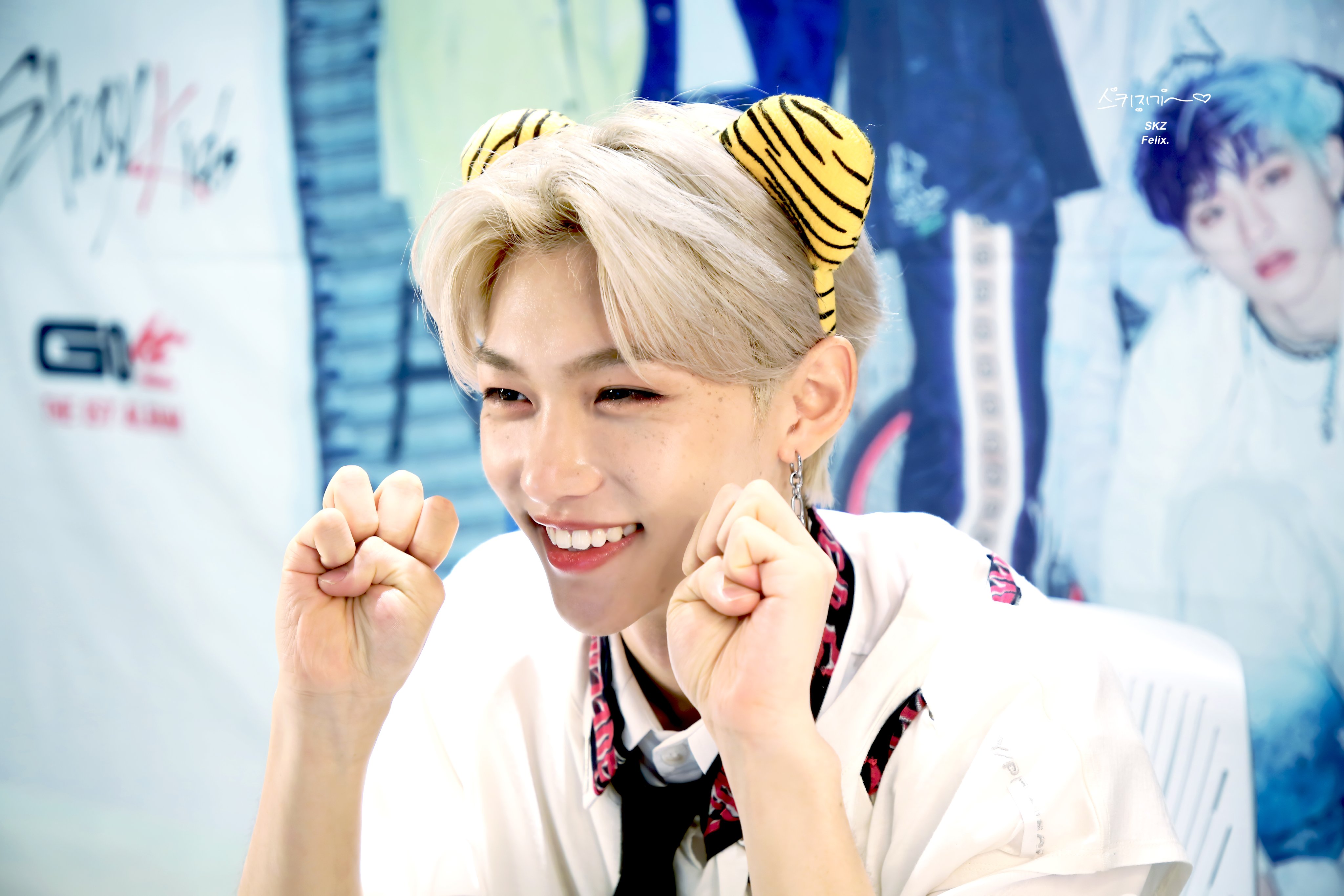 Stray Kids オフラインイベント フィリックス フラッグ Stray Kids、日本初のオフラインファンイベントが決定 | Daily