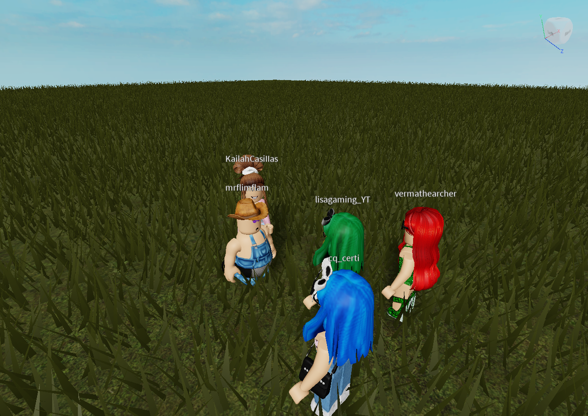robloxgamer4203's tweet photo. #lisagaming #lisagamingyt #unbanlisagamingyt https://t.co/zK7tjVd0tG