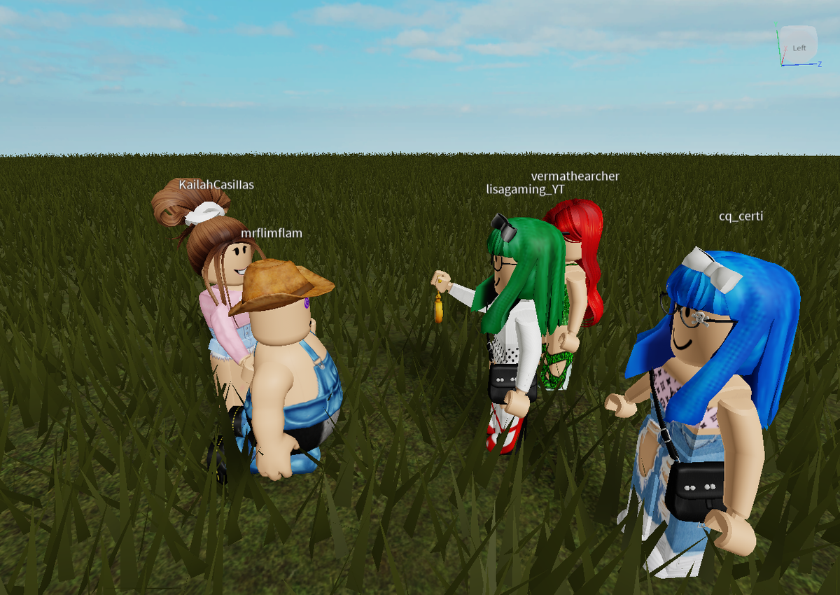 robloxgamer4203's tweet photo. #lisagaming #lisagamingyt #unbanlisagamingyt https://t.co/zK7tjVd0tG