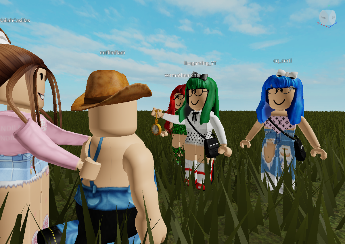 robloxgamer4203's tweet photo. #lisagaming #lisagamingyt #unbanlisagamingyt https://t.co/zK7tjVd0tG
