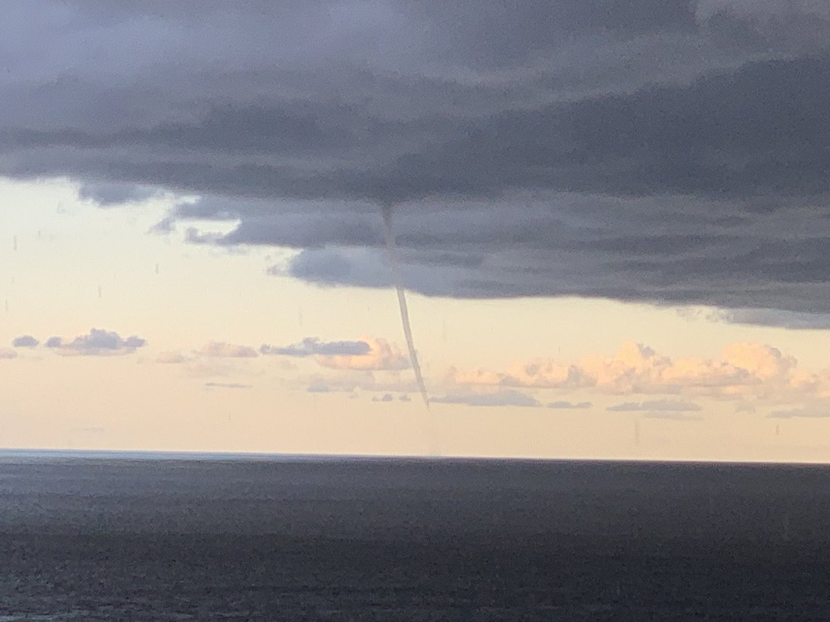 kelly fuller tweet media