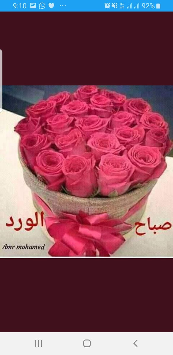 fadyhappy's tweet photo. @szwUbr3S2gvA6WS صباح الخيرات https://t.co/B0N3HxYH4R