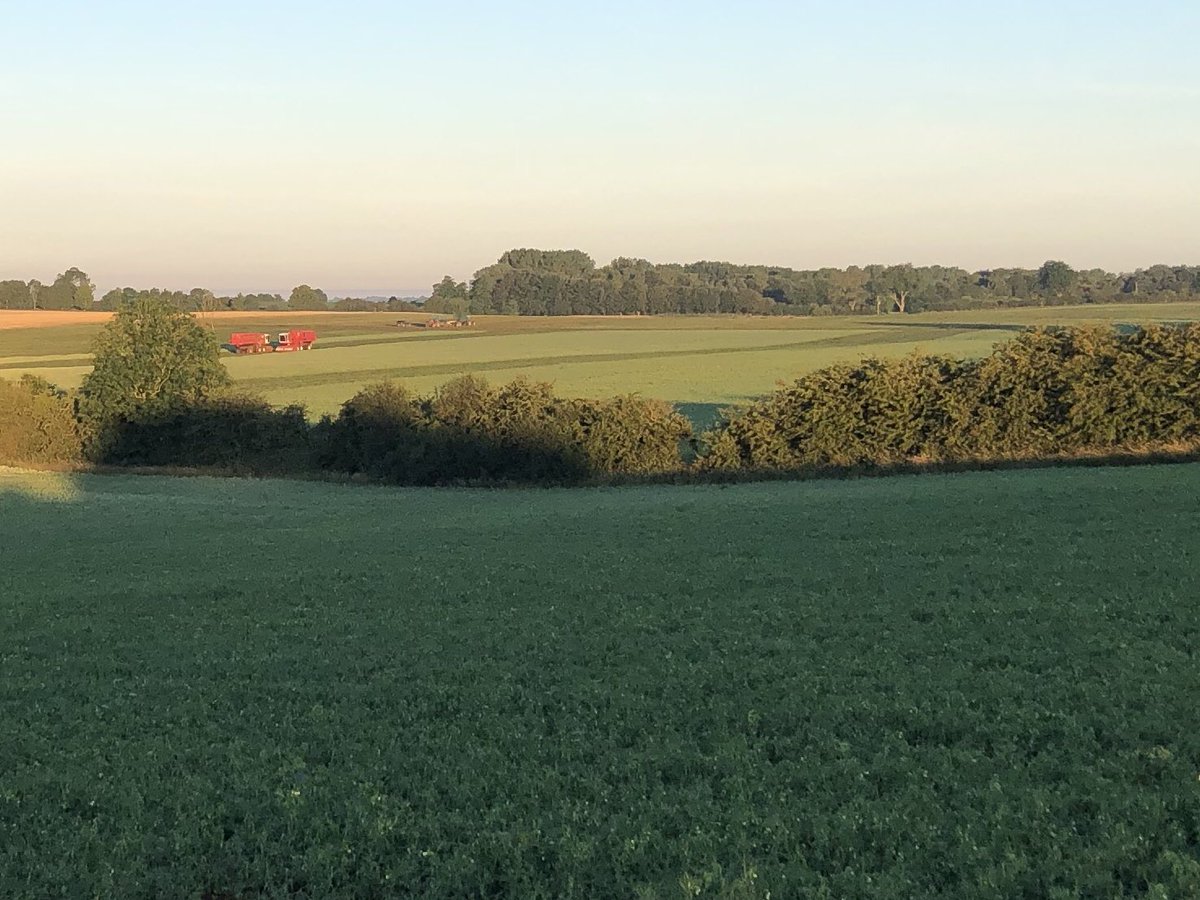 ajfarming's tweet image. I think I’m getting altitude sickness 🏔 it’s either that or I want to sing something from the sound music 😂