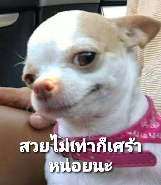 _sweetBZh's tweet photo. @wbu85 ในส่วนของหมากะคือ https://t.co/Vp2f45QA4Y