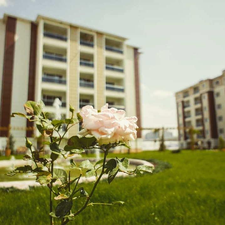 Tüm misafirlerimize mutlu hafta sonları dileriz. 

0272 252 5757
aforiathermal.com

#thermal #tatil #havuzluoda #sağlık #huzur #dinlence #sessiz #sakin #aile #doğa #seyahat #travel #hotel #residences #family #holiday #şifalısu #hijyen #temizlik #konfor #afyonkarahisar