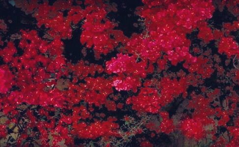 CR4VINGCLARITY's tweet photo. ✿.｡.:* ☆:**:.
https://t.co/DYWr9mCrL9 .:**:.☆*.:｡.✿
✿.｡.:* ☆:**:.
https://t.co/o2PvgsmThy .:**:.☆*.:｡.✿ https://t.co/kpHeO1u76k
