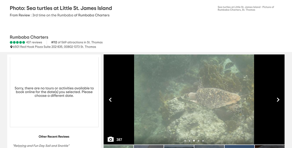 Thread: people going on vacation to Epstein's island, from tripadvisor