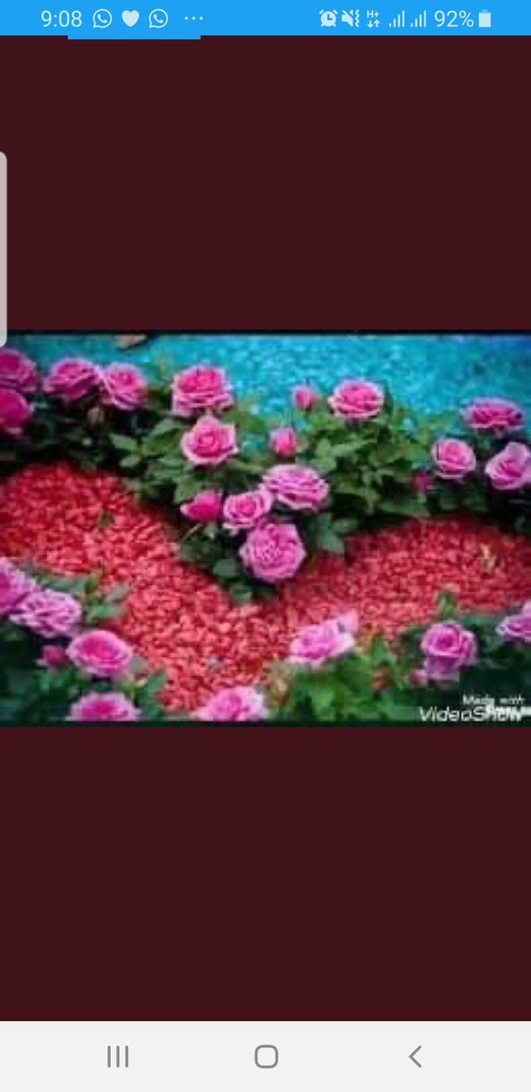 fadyhappy's tweet photo. @alia_rady55 صباح الهنا https://t.co/adZCgGZIVl