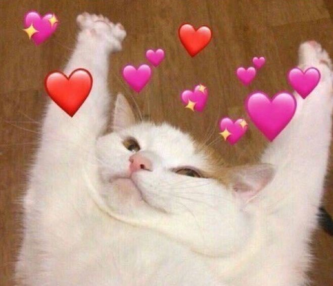 This is me seeing Chaelisa content circling everywhere 🥰 this ship wont sink