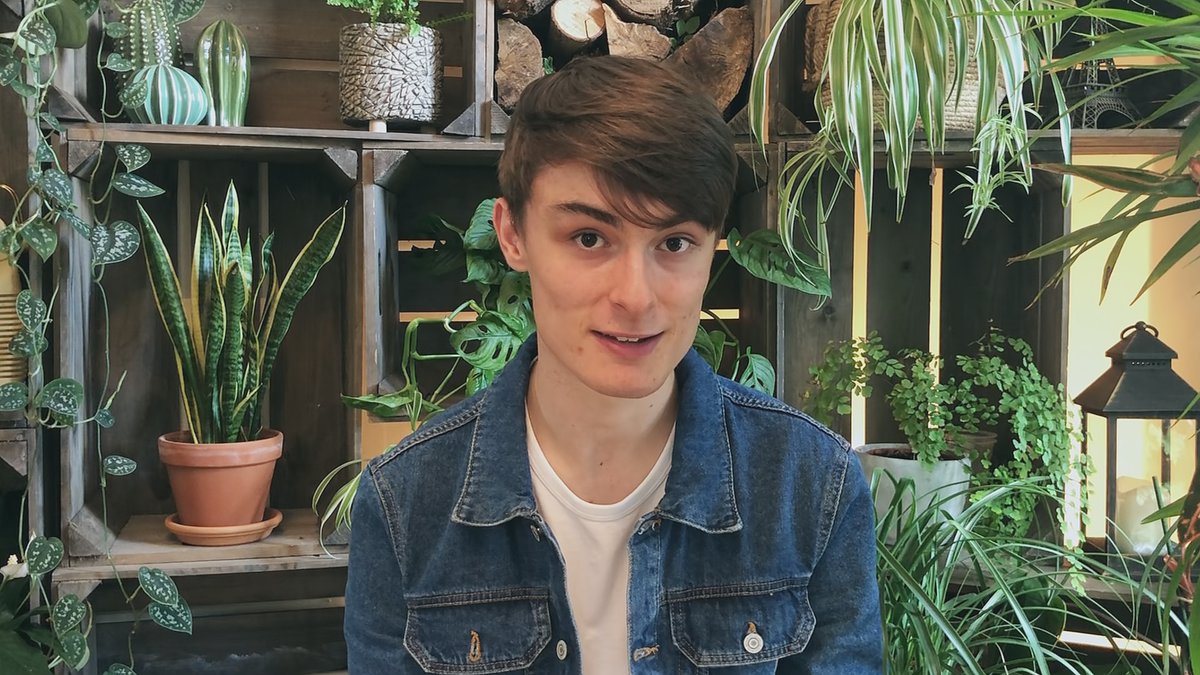 We couldn't believe our eyes when we first saw Joe Bagley's huge collection of #houseplants! We hope you were impressed too. How many do you grow? 🤔🌿🏠 #GardenersWorld #indoorgardening