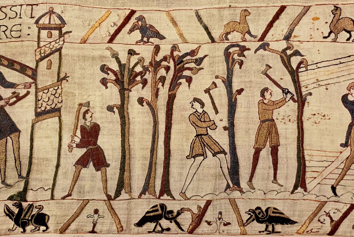 For I do hold a tree in France too good

Edward III 4.5.64

#ShakespeareSunday #BayeuxTapestry #Tapestree

@HollowCrownFans @BotanicalShax @Europeantrees @ArbresJGordi @TheArborealists @janemillerartis @Marcpalahi @SerradoraBoix @DJMusgrove 

twitter.com/ticlme/status/…