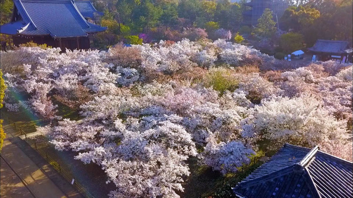 キヤノンマーケティングジャパン 全国 世界遺産巡り 日本の世界遺産の後編は 彩りを添えてくれる四季の絶景と 聖なる山にまつわる物語などをご紹介 空と陸からキヤノンのカメラが迫ります 空から見る 日本の世界遺産すべて T