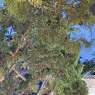 ➳   ┊͙ ⁎ 𓈒   ⊹    โกสแคท 、โดยอน    🩺  ♡̶ ⁎𓈒   𝚐𝚘╺ 𝚐𝚘 *   .  แลกฟอล  𓎭  ตามทัก  ୧  ˙  ✿ ⁎

: • ( 🖱 ) ลฟตท  .  *   ⁎ 、