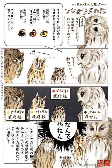 フクロウ豆知識漫画「マニアックすぎ」と友人に嗜められました〜。わかっちゃいるけど自重しないぜ!
そんななか読んで反応頂いた方々本当にありがとうございます〜⸜(* ॑꒳ ॑* )⸝これからもマニアックなネタしかしないよ…🦉 