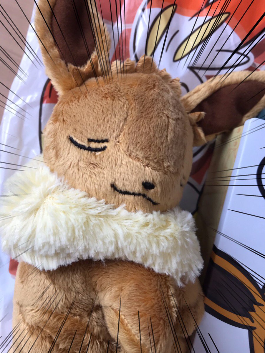 素敵すぎるお中元が届いたので見てくださいっっ!!!(∗∕ ∕•̥̥̥̥∕ω∕•̥̥̥̥∕)✨
わぁぁイーブイーーーー!!!!! 