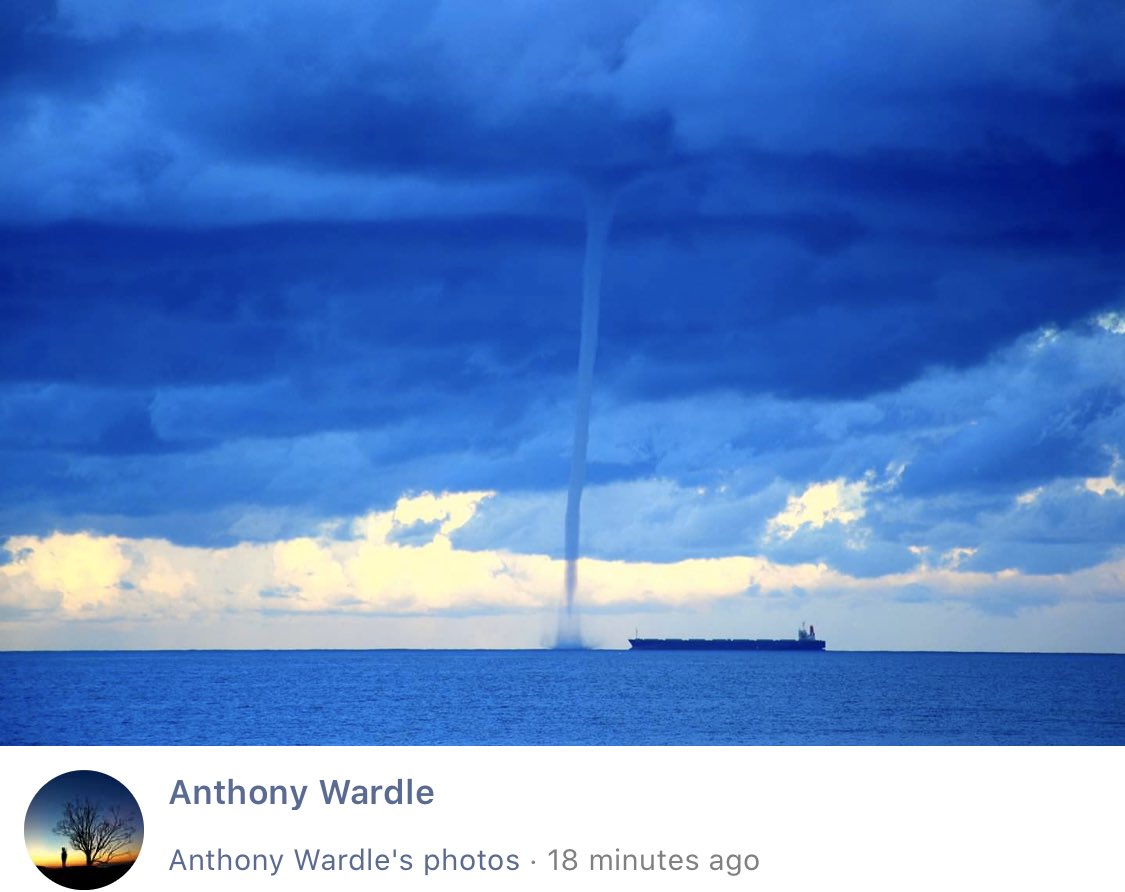 Fiona Purcell tweet media