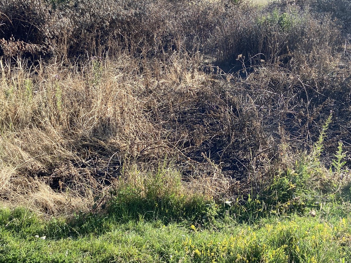 Paul Thomas tweet media