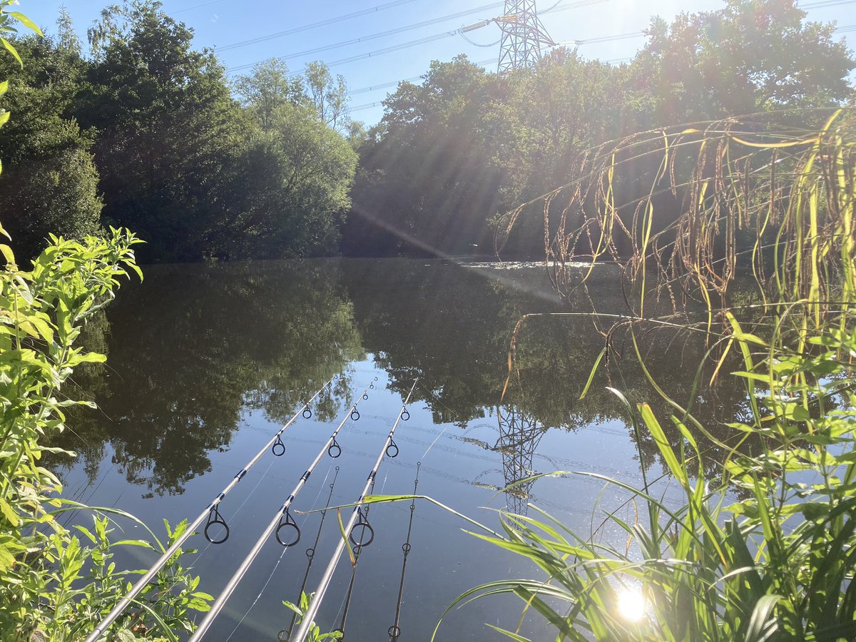 wilbs445's tweet photo. What a cracking morning, that’s why we fish 👍 https://t.co/XLebcKoxvt