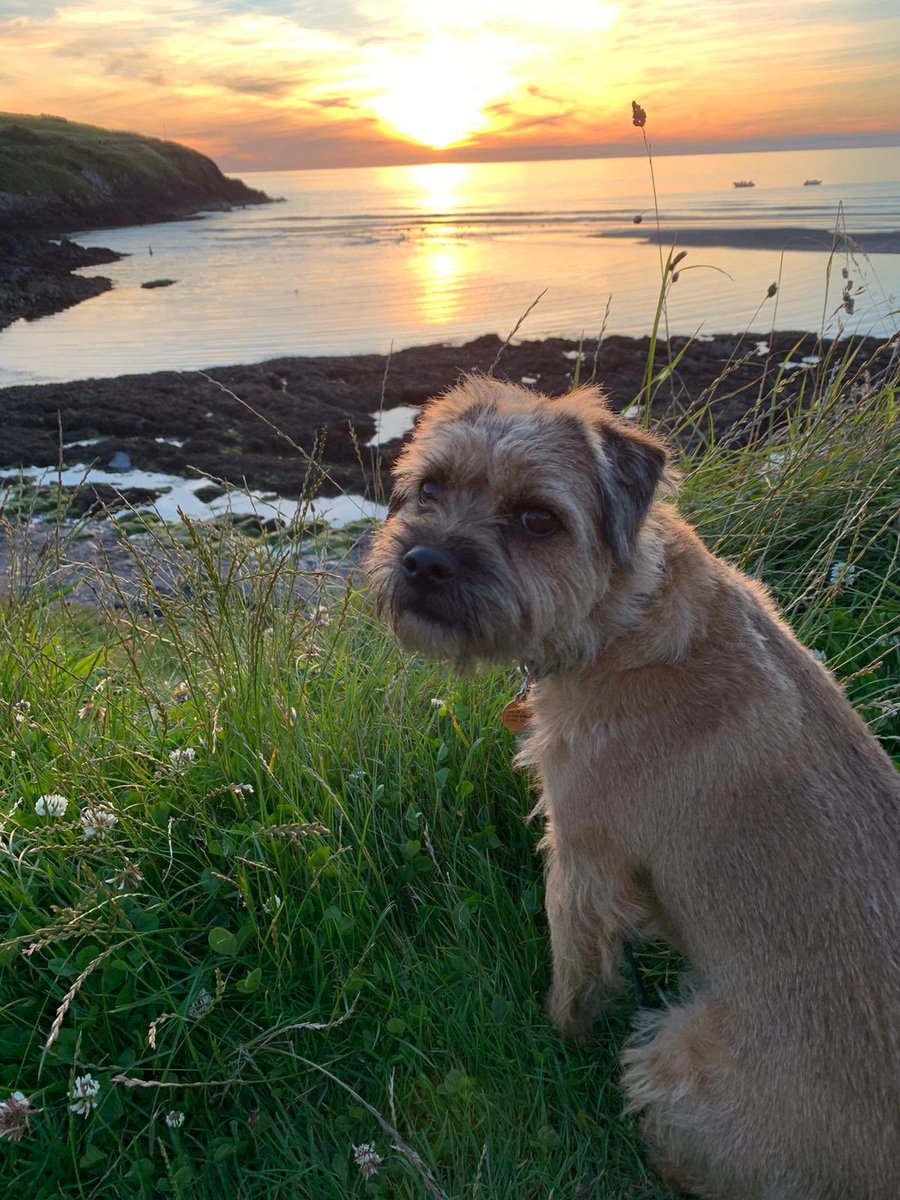 Kimberley Simpson tweet media