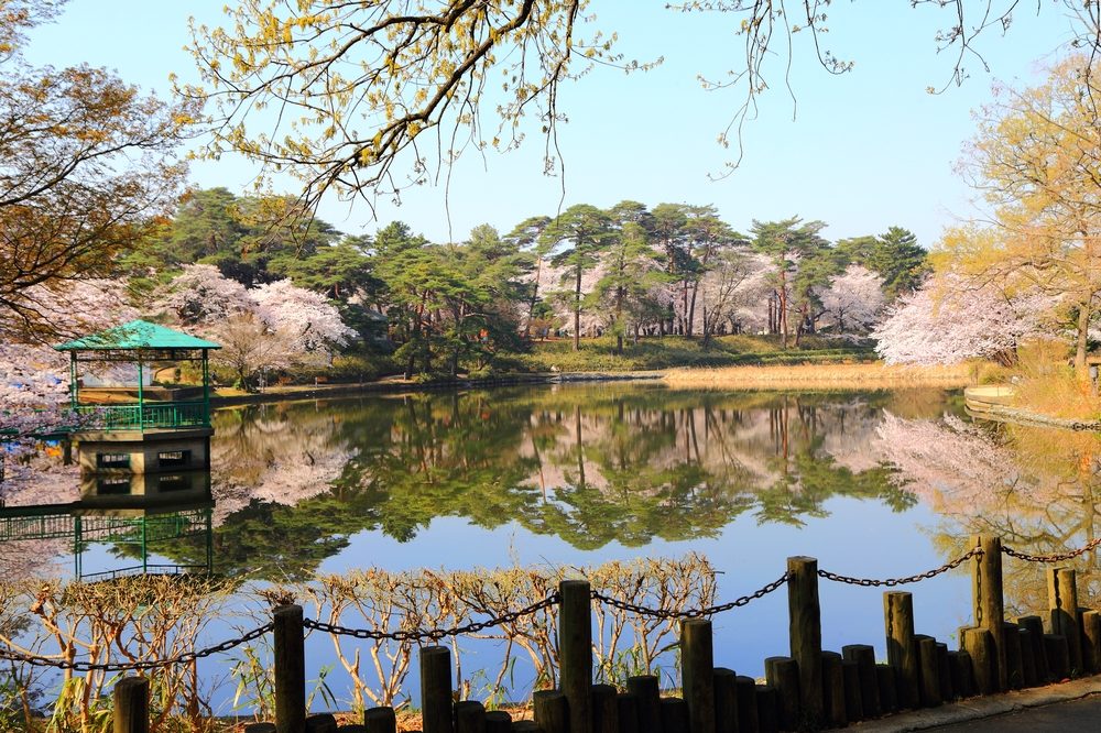 美しい日本 🇯🇵 tweet media