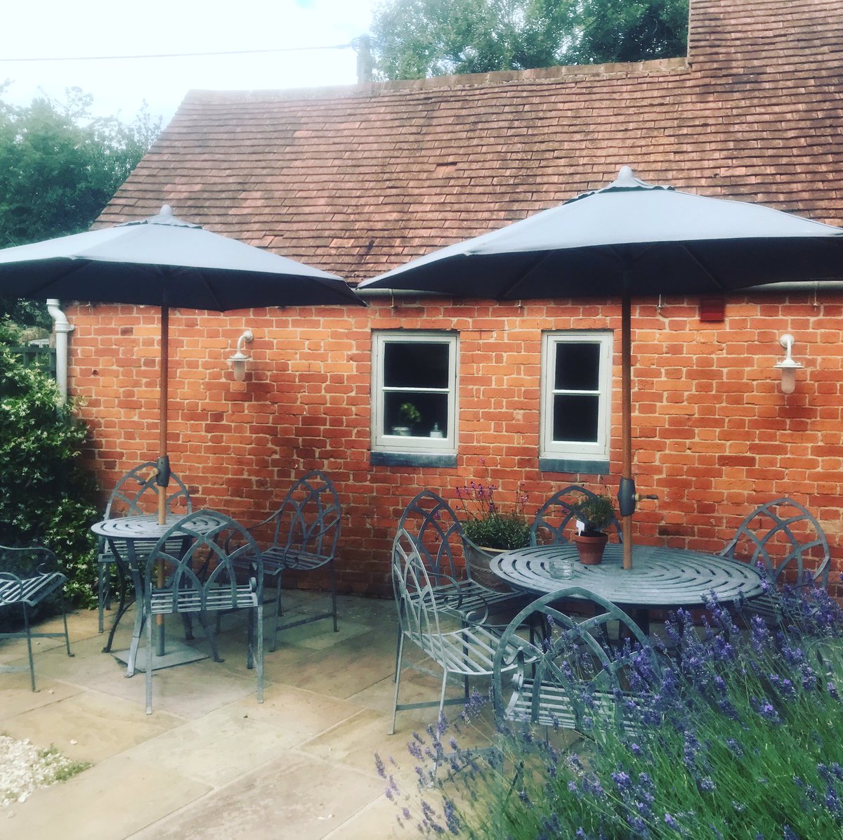 Happy Sunday everyone ☀️💕#sunnyday #sundayfunday #happysunday #sundayroast #sunnydays #gardensofinstagram l