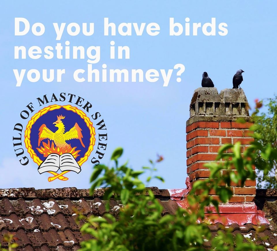 Howards (Tarleton) ChimneySweep tweet media