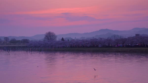 美しい日本 🇯🇵 tweet media