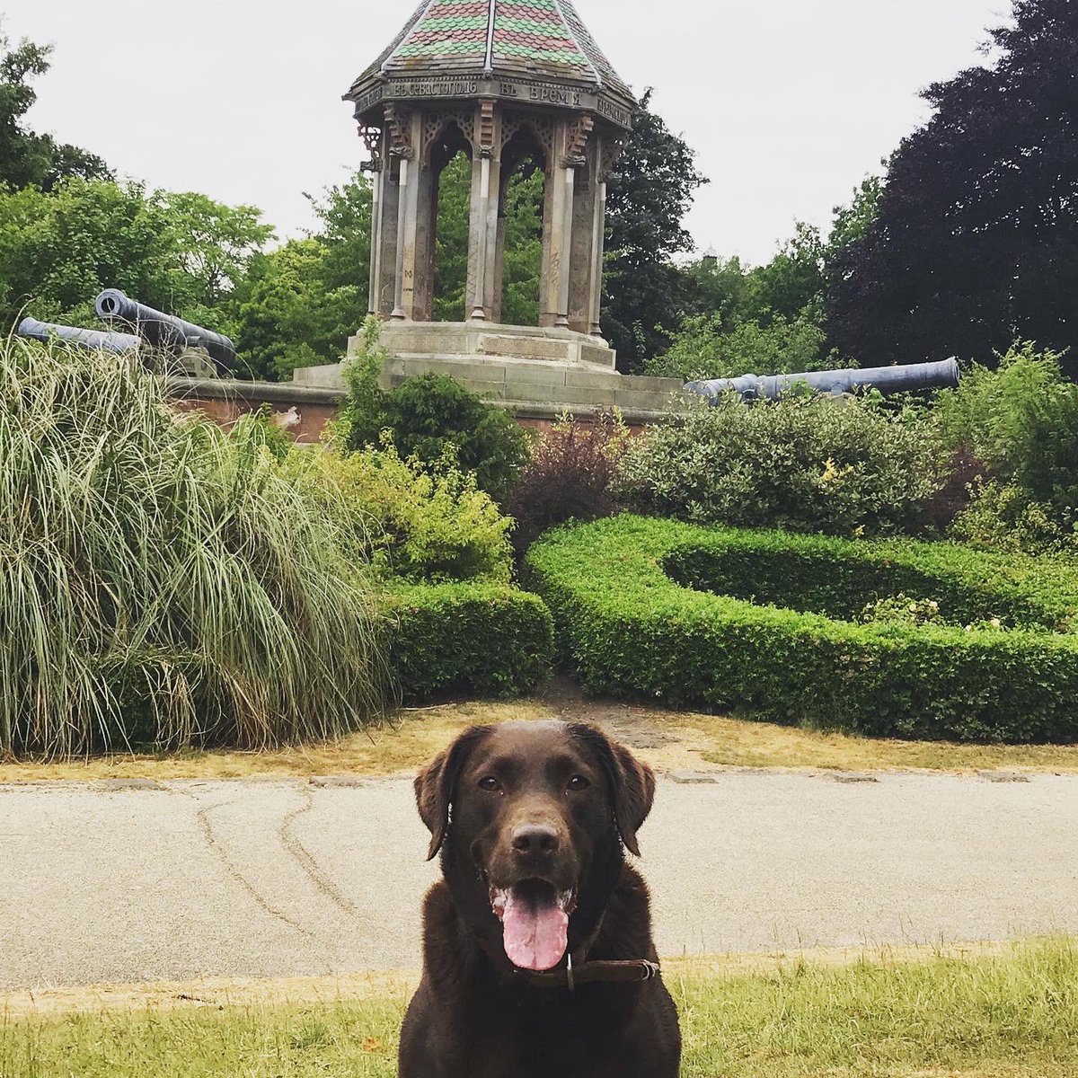 things_to_do's tweet photo. Good morning everyone. Hope you’re ready for a beautiful day.
if you’re in Nottinghamshire and looking for ideas for places to visit, please pop over to our website for info about some of our fabulous local attractions at https://t.co/oFWYsZbpaq #enjoynotts https://t.co/HJFME67dJM