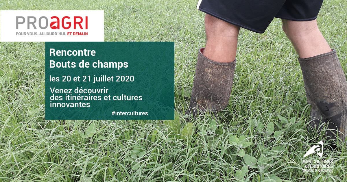 laurentmagot's tweet photo. #ohmylot Découvrez des itinéraires et cultures innovantes : par ex le teff grass, une graminée estivale qui s’adapte au changement climatique !
#cultures #innovante #teffgrass #sorghofourrager #colzafourrager #avoinediploïde https://t.co/BmjSKKCouO