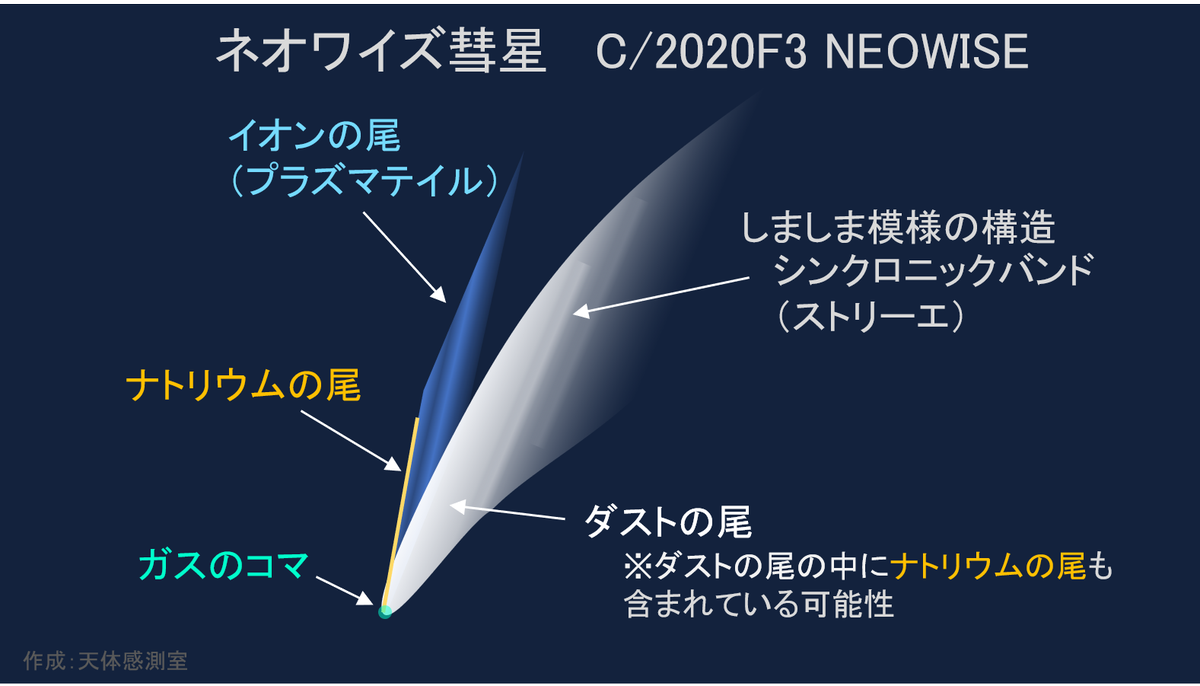 天体感測室 明け方に撮影された ネオワイズ彗星 の素晴らしい画像が沢山アップされてますね 彗星の構造には名前がついています 最近のネオワイズ彗星のイラストに整理してみました 画像と見比べてみてください ぼちぼち夕方側にやってきますよ