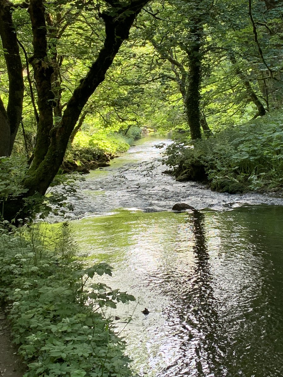 Lovely morning walk #Monsaltrail #happyplace #Anotherworld