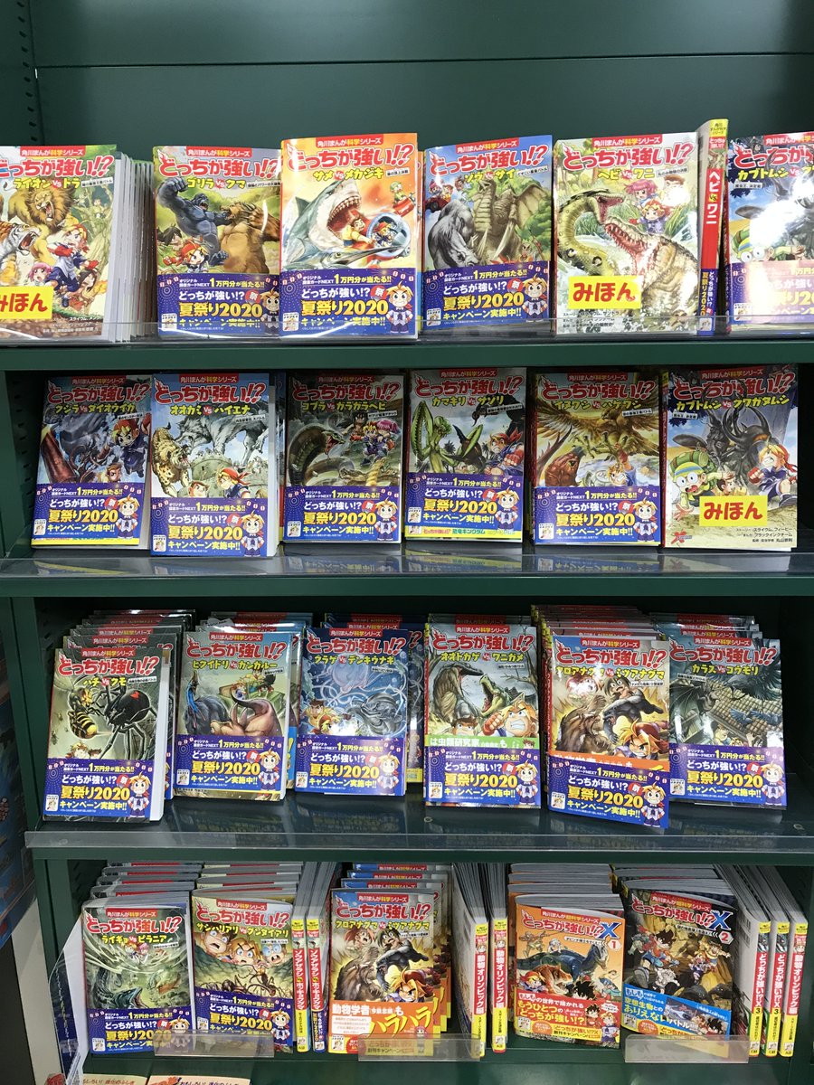 どっちが強い どっちが強い