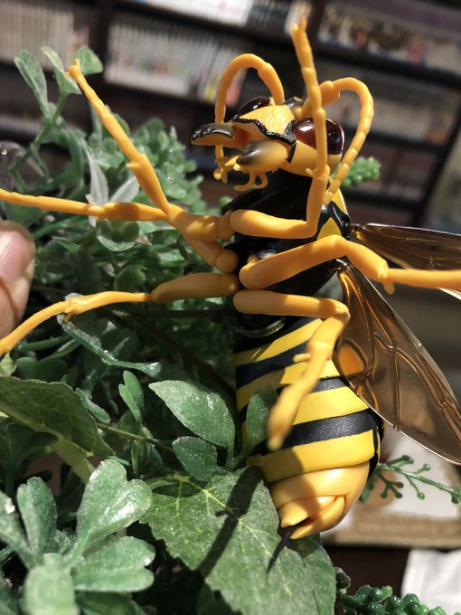 虫嫌いのtwitterイラスト検索結果